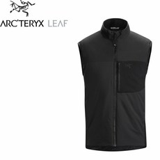 아크테릭스아톰