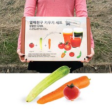[꿈쟁이] 직접 키워먹는 열매친구 키우기 플랜터세트(씨앗-방울토마토 오이 미니당근)