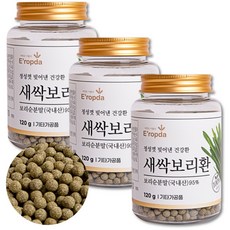 새싹보리커었당