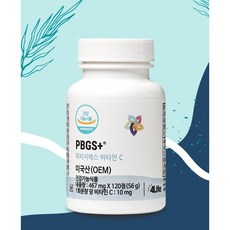 피비지에스