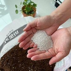 바로커상토