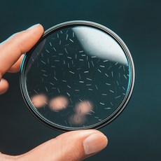 방사선사김성철