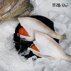 알가자미