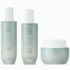 더페이스샵수분쿠션