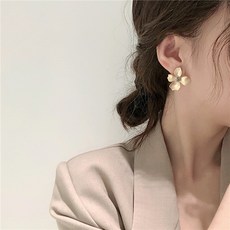 디디에두보귀걸이