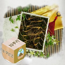 산양삼 산양산삼 산삼초 8-9년근 10주, 자연이 준 선물 그대로, 1개