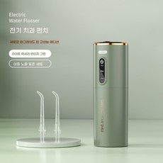 구강세정기 무선 충전식 이빨 청결 치아관리 워터, 03.그린 2중 노즐