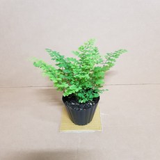 cc78438f3892a2582812b42b9b396b896ea90faf74b851c2f70766eb73d2.jpg