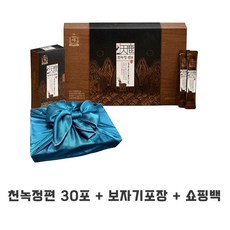 천녹정
