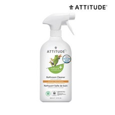 에디튜드얼룩제거제