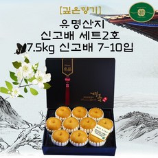 //상품명