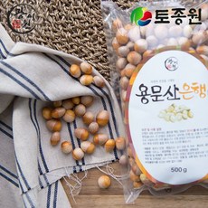 토종원 용문산 깐은행 1kg 물맑은 양평 용문산, 2개