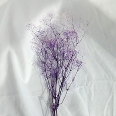 6d0f7072ea16f710c24a028d566c5aa41d840d62347cb3c1d73c7ebb8198.jpg