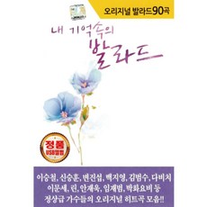 자동차음악usb