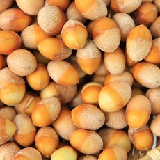 충남 예산 깐은행 피은행 500g 1kg, 깐은행 1kg