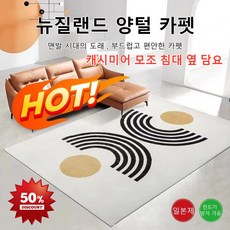 주방카페트 거실 캐시미어 모조 카펫 면 마 오염 방지 방 테이블 담요 침실 침대 옆 담요 두께감 테크니컬 카펫 소파 카펫