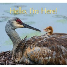 Hello I'm Here! Hardcover, Candlewick Press (MA)