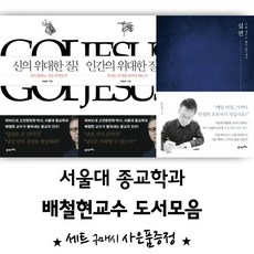 배철현심연
