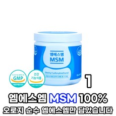msm한약