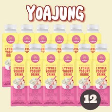 [한달행사] 요아정드링킹요거트리치500ML, 12개, 500ml