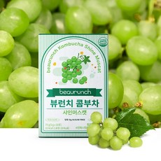 데이앤 콤부차 자두 샤인머스켓 인천