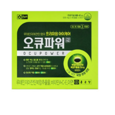 오큐파워