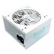 마이크로닉스classicii풀체인지600w
