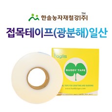 접목 테이프 3cm x 60M/광 분해테이프/접목비닐/원예용 식물테이프/한솔농자재철강, 1개