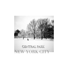 central park New York City Winter wonderland blank journal Hardcover, Blurb