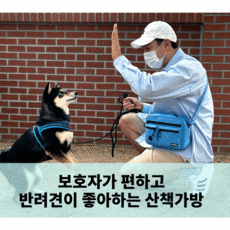 강아지어라운드백
