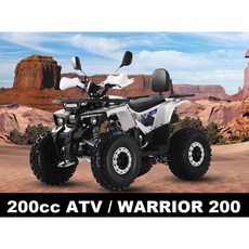 ATV 200cc/WARRIOR 200/UTV/제설용 ATV/제설장비/농업용 화물 ATV/사륜오토바이/산악 오토바이/사발이