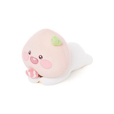 카카오무지바디필로우