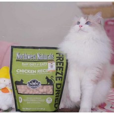 311g 닭고기 칠면조 노스웨스트 동결 건조 고양이사료, 닭고기 311g