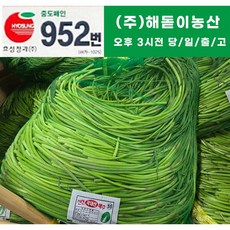 해돋이 농산 국내산 햇 마늘쫑(바라) 1kg 2kg 3kg 5kg 10kg