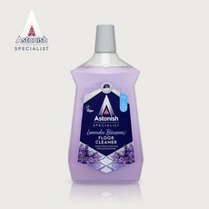 아스토니쉬바닥