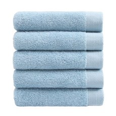 다이슨코랄블루