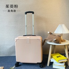 레디백18인치
