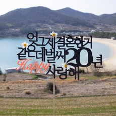 스프링데일 결혼 기념일 20주년 여행 부부 토퍼, 1개