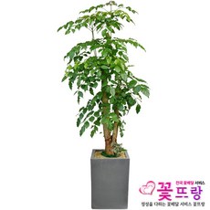 d8b660b03b8c1a21a428133fe907306b4a62834aac901fdb200db93d774c.jpg
