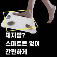체지방 디지털 바디플 체중계