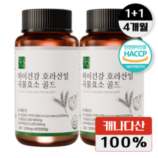 카무트효소 하이건강 호라산밀 곡물효소 골드 해썹인증