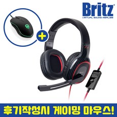 브리츠kg20