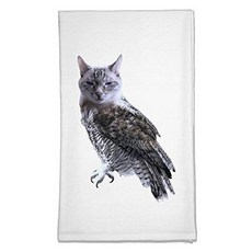 TOOLOUD Lucky Cat Owl Flour Sack Dish Towel, 상세내용참조