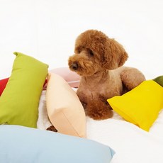 펫샵베개사이트