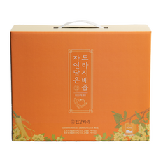 건강비서 자연담은 배도라지즙 40p