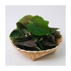 친환경인증 농협선별 신선한 추부깻잎 2kg, ONE COLOR, ONE SIZE