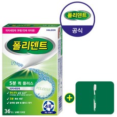 나이트 틀니 의치 세정제 36정+의치 칫솔, 1개, 상세설명 참조
