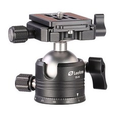 파노라마벨에어