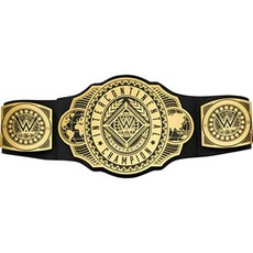 wwe챔피언벨트 TOP01