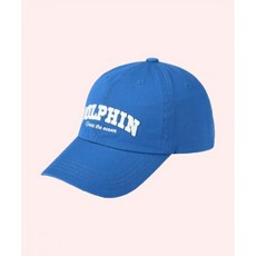[100%정품] 돌핀웨이브어패럴 돌핀 어센틱 로고 모자 캡모자 볼캡 야구모자 블루